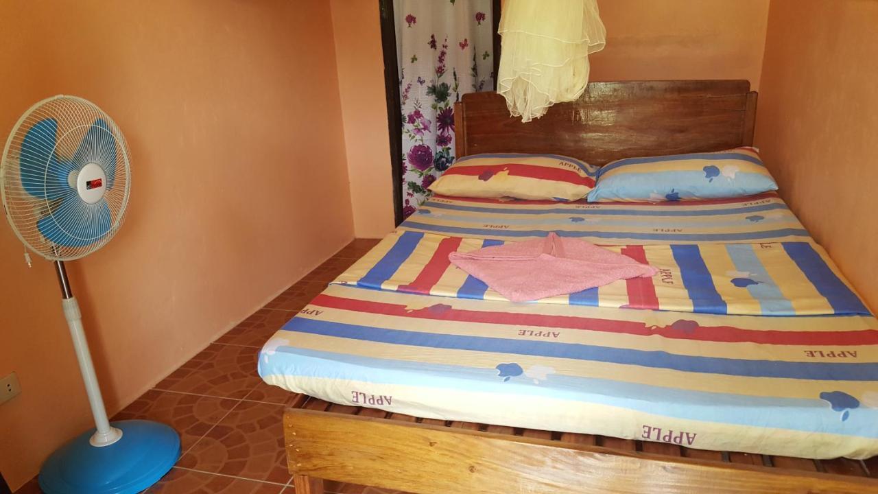 Trisha Lodging House San Vicente  Exterior foto