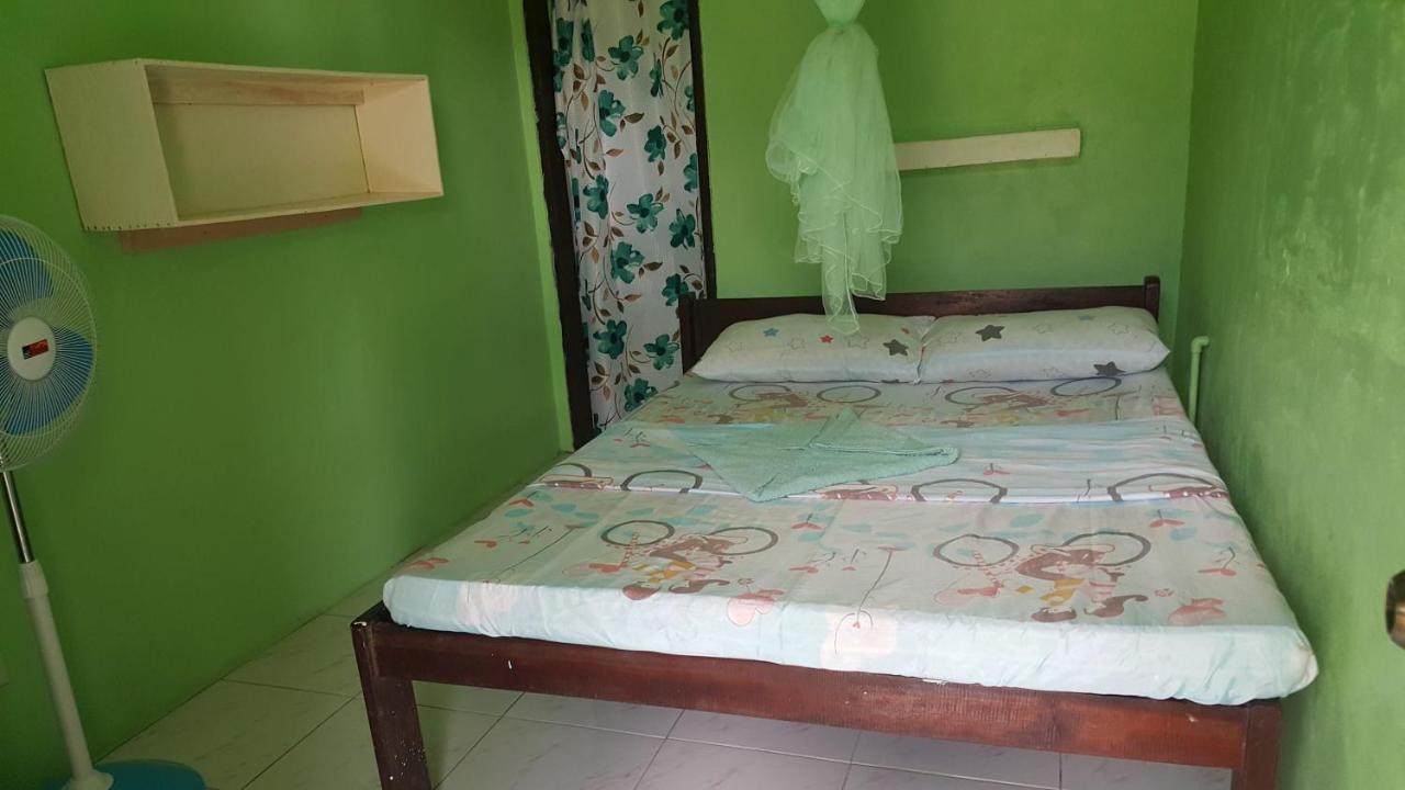 Trisha Lodging House San Vicente  Exterior foto